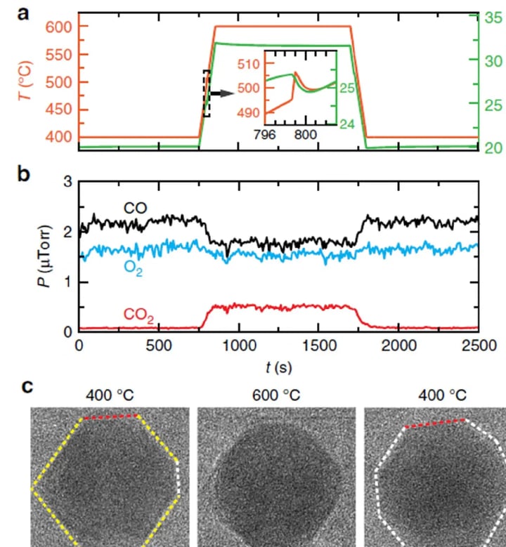 Temperature profile, gas partial pressures and an image sequence of a Pd nanoparticle during CO oxidation