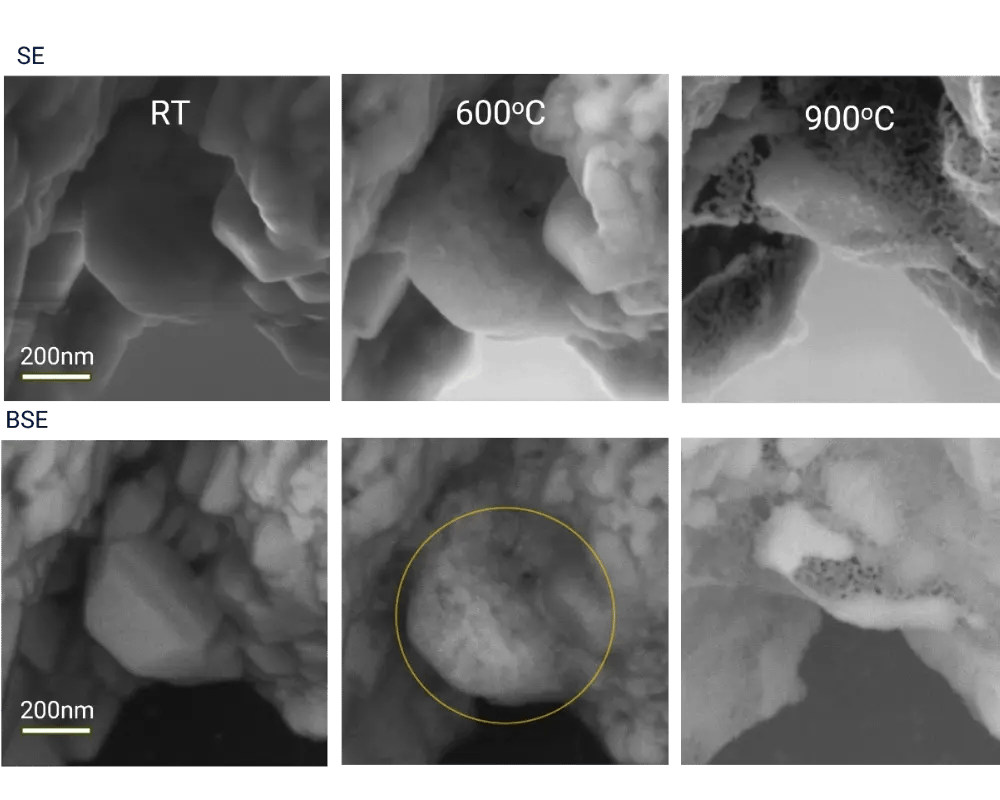 SE and BSE images of perovskite oxide nanoparticles at room temperature, 600 °C and 900 °C showing degradation