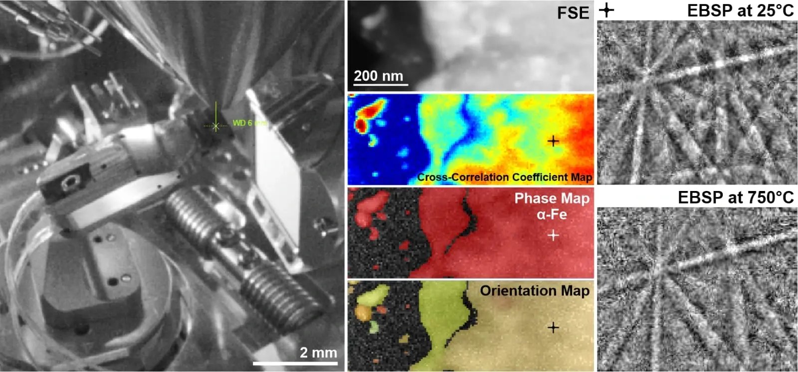 The FireBolt holder with a side entry EBSD detector, beside FSE, phase and orientation maps of annealed austenitic steel
