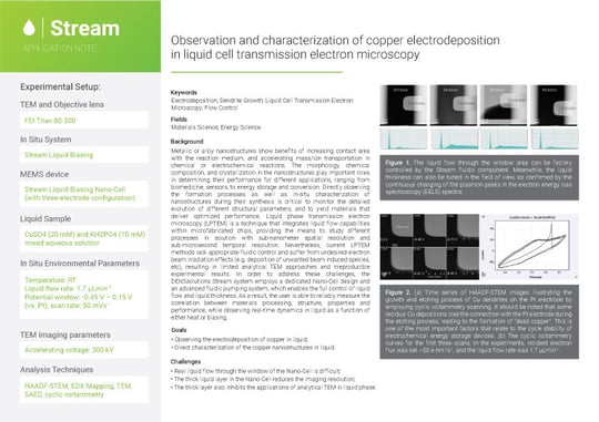 Observation and characterization of copper electrodeposition in LPTEM