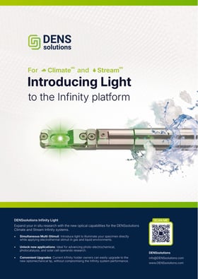 Download the Infinity Light flyer