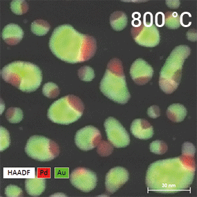 EDS mapping of AuPd nanoparticles as a function of temperature