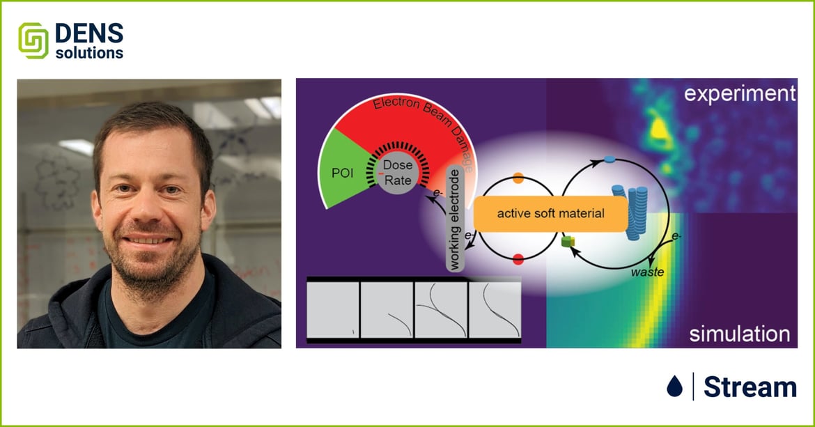 In situ LPEM: Illuminating the electrochemical nanoscale dynamics of active materials