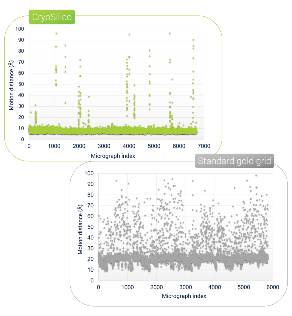 Beam-induced motion comparison: CryoSilico vs standard gold grids