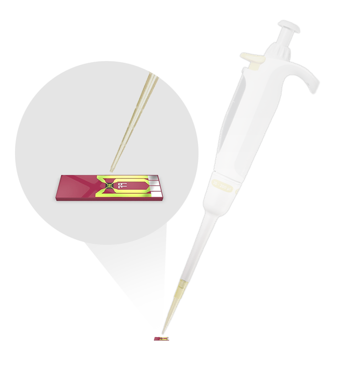 Pipetting nanoparticle solution onto Nano-Chip