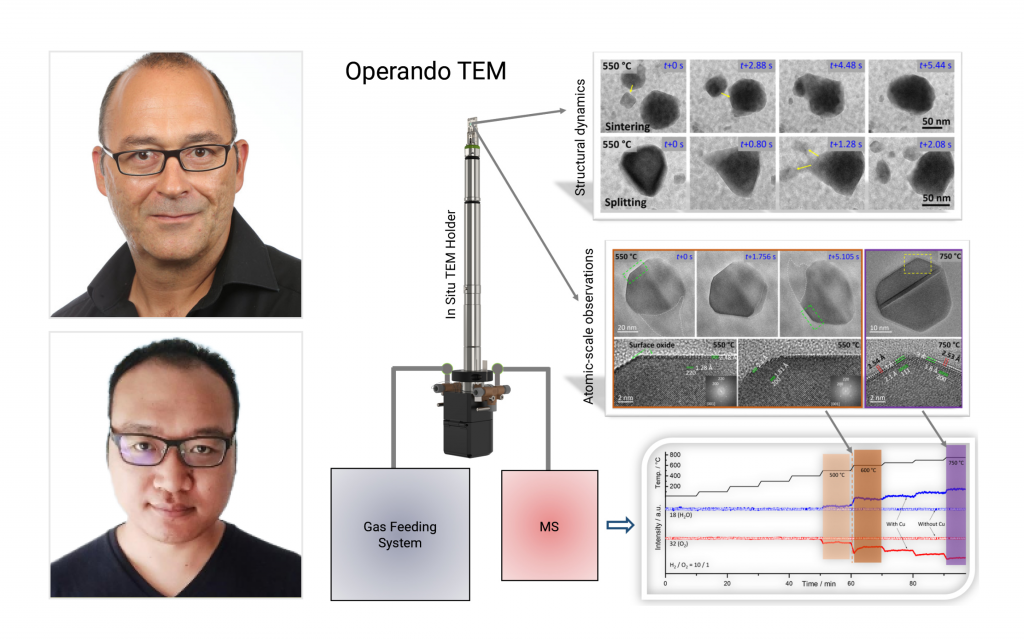 Climate helps uncover phase coexistence and structural dynamics of redox metal catalysts