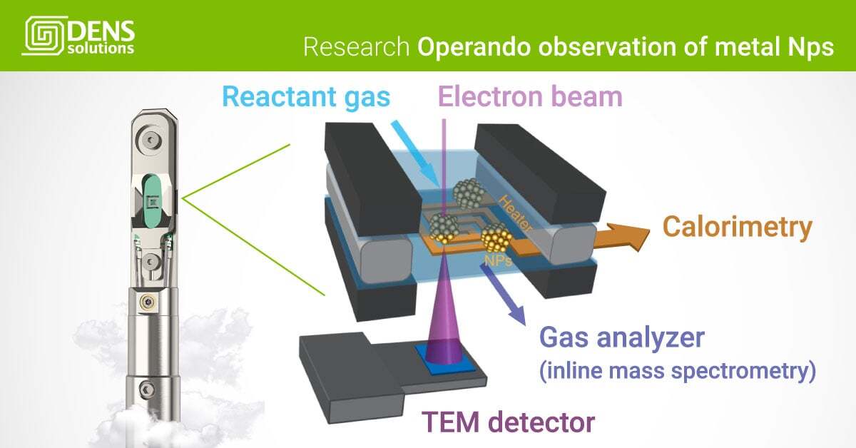 Operando TEM using Climate G+ to study Metal catalyst behavior during reaction