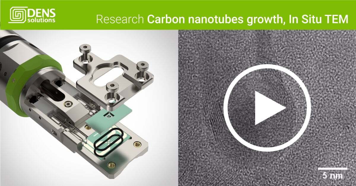 Visualizing the dynamic behaviours during carbon nanotube growth in extensive detail