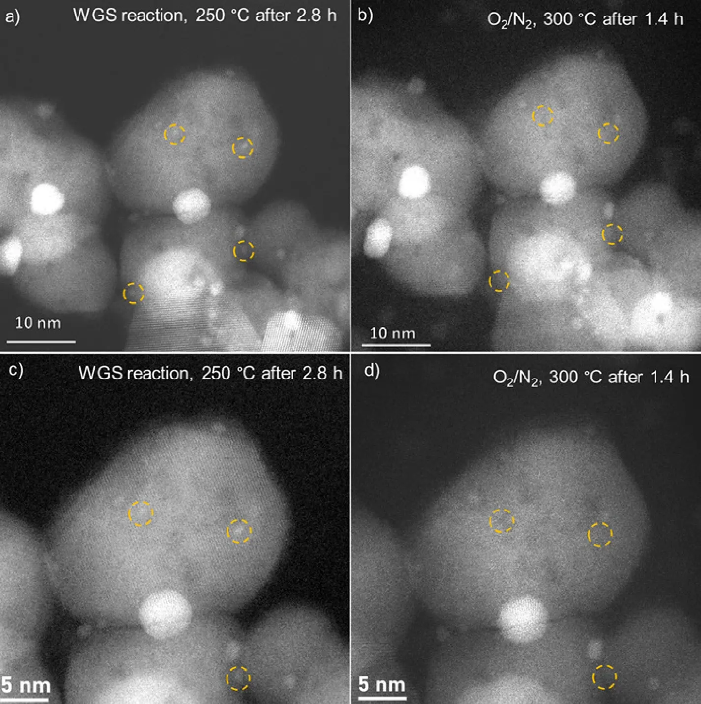 Reversible Growth of Gold Nanoparticles in the Low-Temperature Water–Gas Shift Reaction