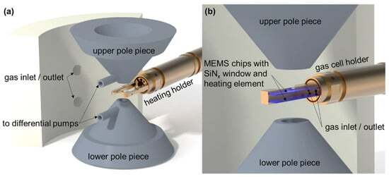 In Situ TEM Studies of Catalysts Using Windowed Gas Cells