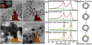 Investigation of multiple commercial electrocatalysts and electrocatalyst degradation for fuel cells in real vehicles