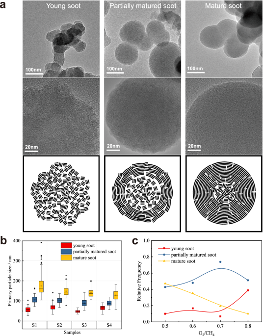Mechanism of the noncatalytic oxidation of soot using in situ transmission electron microscopy