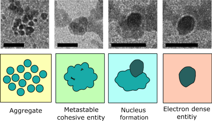 Non-classical crystallisation pathway directly observed for a pharmaceutical crystal via liquid phase electron microscopy