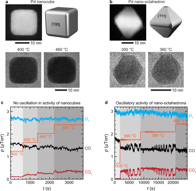 Periodic structural changes in Pd nanoparticles during oscillatory CO oxidation reaction