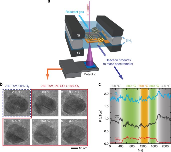 Structural changes in noble metal nanoparticles during CO oxidation and their impact on catalyst activity