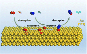 Surface-strain-enhanced oxygen dissociation on gold catalysts