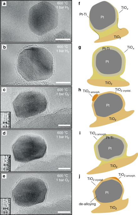 The dynamics of overlayer formation on catalyst nanoparticles and strong metal-support interaction