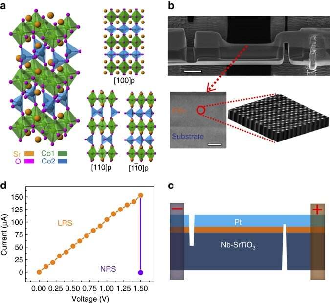 Atomic-resolution imaging of electrically induced oxygen vacancy migration and phase transformation in SrCoO2.5-σ
