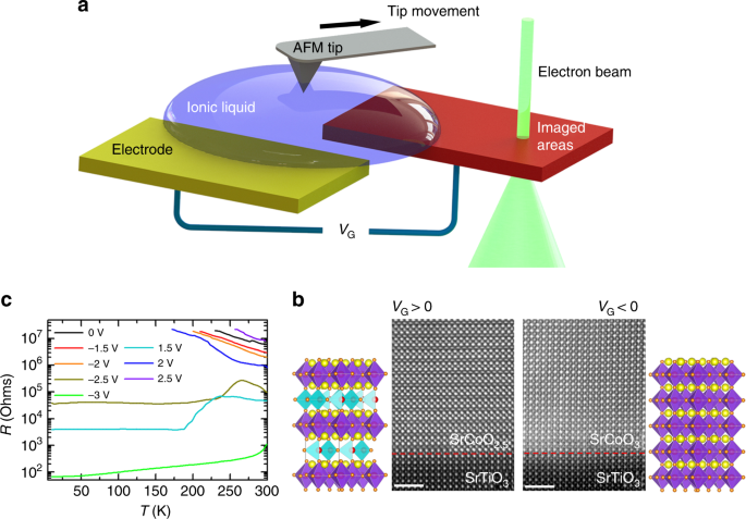 Direct imaging of structural changes induced by ionic liquid gating leading to engineered three-dimensional meso-structures