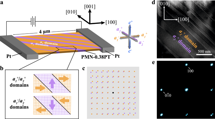 Direct observation of nanoscale dynamics of ferroelectric degradation