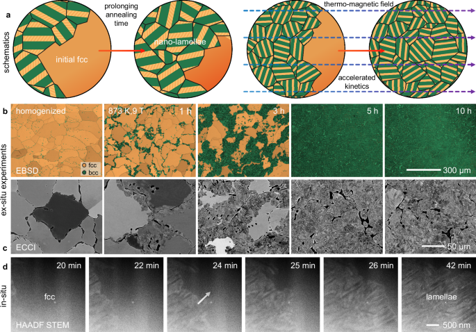 Magnetic and mechanical hardening of nano-lamellar magnets using thermo-magnetic fields