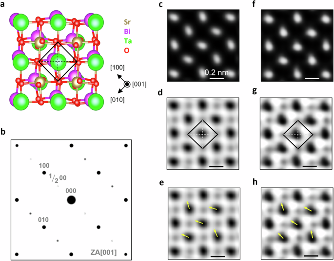 Probing ferroelectric domain structures and their switching dynamics in SrBi2Ta2O9 by in-situ electric biasing in transmission electron microscopy