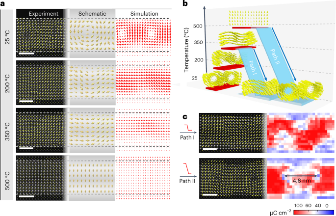 Thermal triggering for multi-state switching of polar topologies