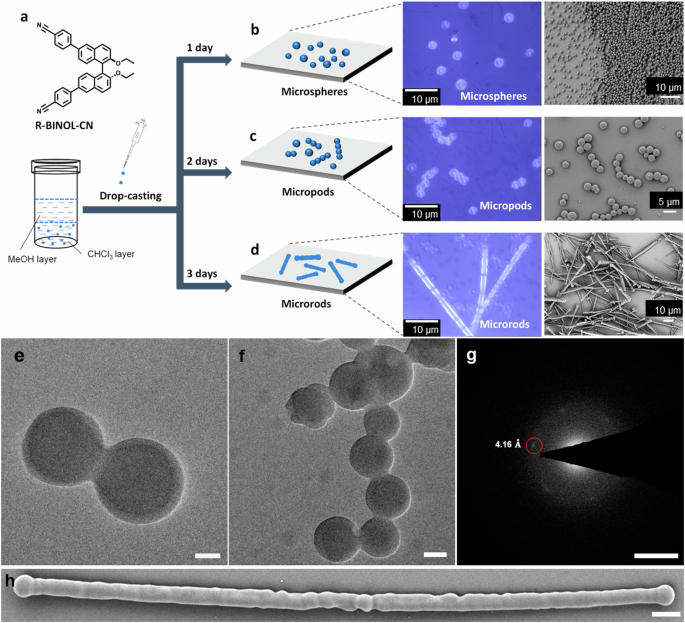 Real-time visualisation of fast nanoscale processes during liquid reagent mixing by liquid cell transmission electron microscopy