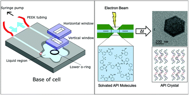 Visualising early-stage liquid phase organic crystal growth via liquid cell electron microscopy