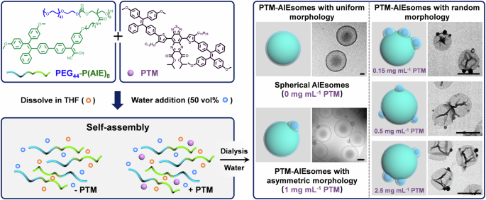 Designing polymersomes with surface-integrated nanoparticles through hierarchical phase separation