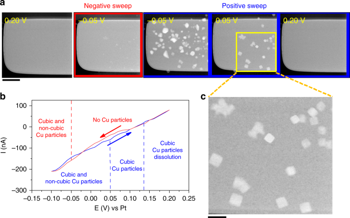 Imaging electrochemically synthesized Cu2O cubes and their morphological evolution under conditions relevant to CO2 electroreduction