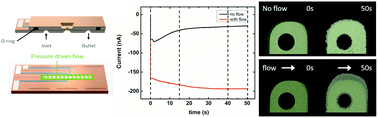 In situ electrochemistry inside a TEM with controlled mass transport