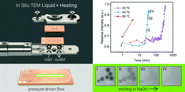 Liquid phase transmission electron microscopy with flow and temperature control
