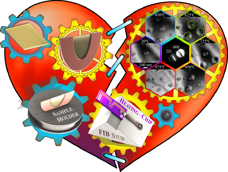 Advanced preparation of plan-view specimens on a MEMS chip for in situ TEM heating experiments