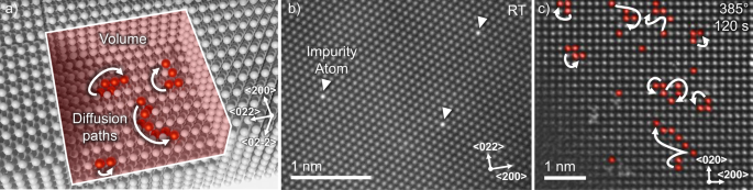 Atomic scale volume and grain boundary diffusion elucidated by in situ STEM