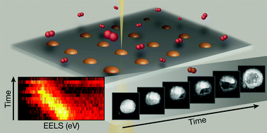 Competing oxidation mechanisms in Cu nanoparticles and their plasmonic signatures