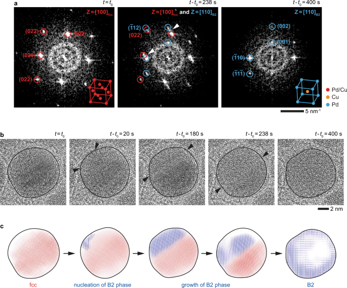 Dynamics of the fcc-to-bcc phase transition in single-crystalline PdCu alloy nanoparticles