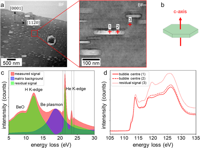 Hydrogen and helium trapping in hcp beryllium