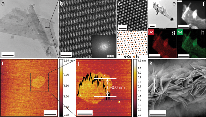 In situ electron microscopy study of structural transformations in 2D CoSe2