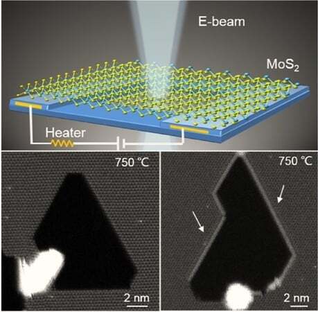 In-situ fabrication of Mo6S6-nanowire-terminated edges in monolayer molybdenum disulfide