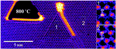 In situ high temperature atomic level dynamics of large inversion domain formations in monolayer MoS2