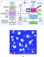 In situ visualisation and analysis of dynamic single atom processes in heterogeneous catalysts