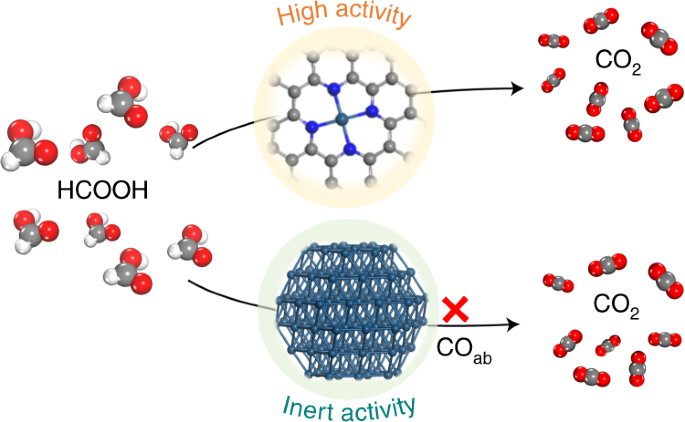 Iridium single-atom catalyst on nitrogen-doped carbon for formic acid oxidation synthesized using a general host–guest strategy