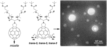 Micelle vs vesicle formation controlled by distal functionalization of C60-PEG conjugate.