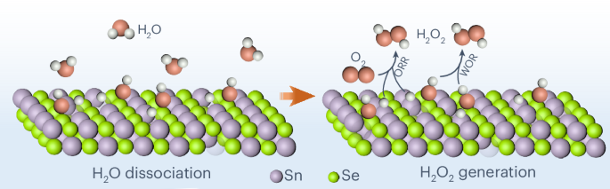 SnSe nanosheets with Sn vacancies catalyse H2O2 production from water and oxygen at ambient conditions