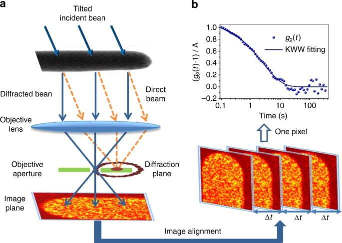 Spatially heterogeneous dynamics in a metallic glass forming liquid imaged by electron correlation microscopy
