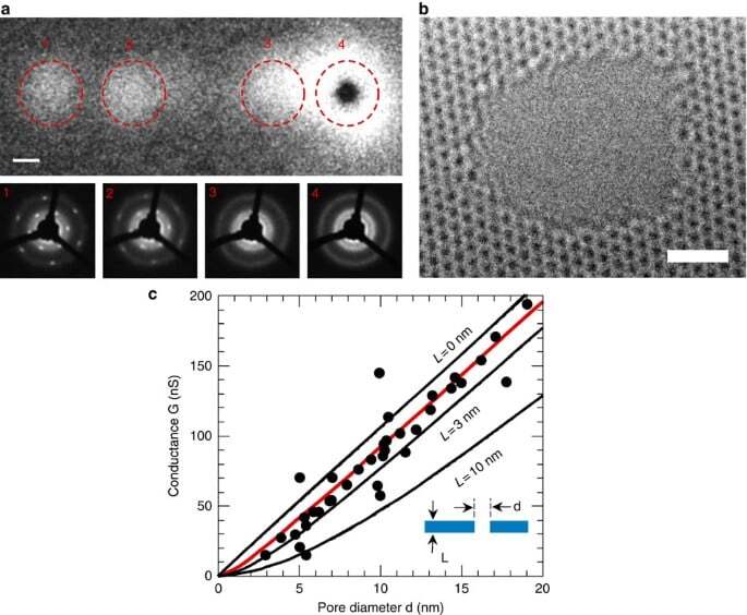 Tailoring the hydrophobicity of graphene for its use as nanopores for DNA translocation