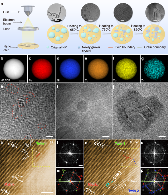 Three-dimensional network of multi-fold twins enabled by geometrically necessary amorphous zones