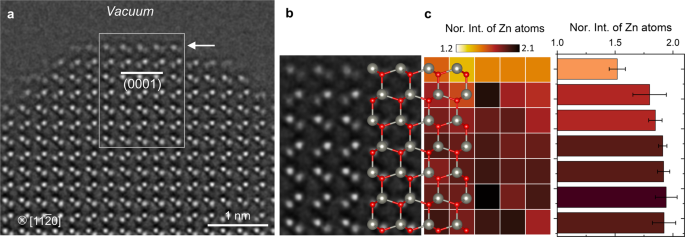 Vacancy driven surface disorder catalyzes anisotropic evaporation of ZnO (0001) polar surface