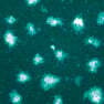 Visualizing reacting single atoms in chemical reactions: Advancing the frontiers of materials research